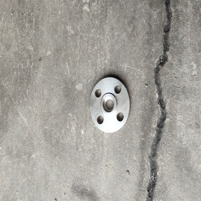Pipe Din Pn16 Plate Flanges Carbon Steel Forging