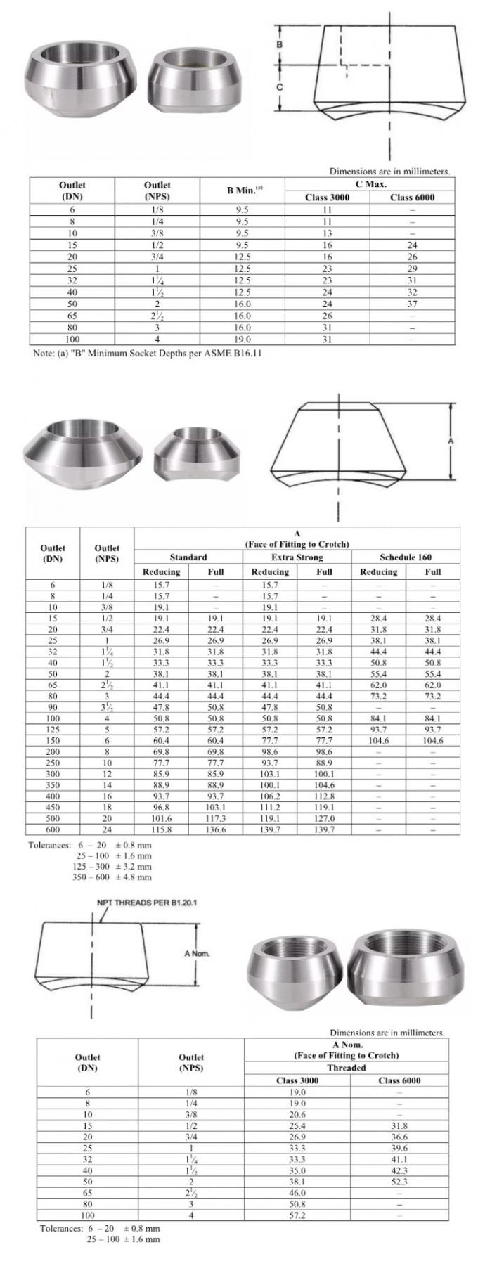 Class 3000 Carbon Steel Threadolet Pipe Fittings Female NPT Thread A105